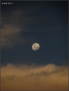moon_8