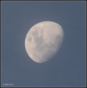 moon_7